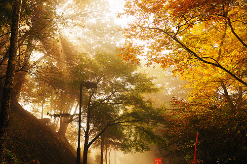 Mt Takao | © ajari via Flickr